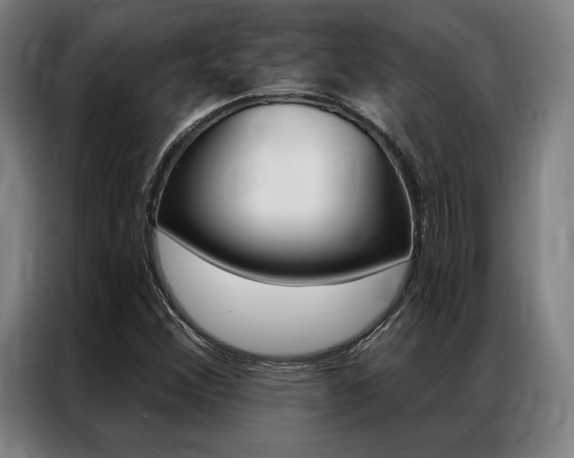 X0000087351356200704200755