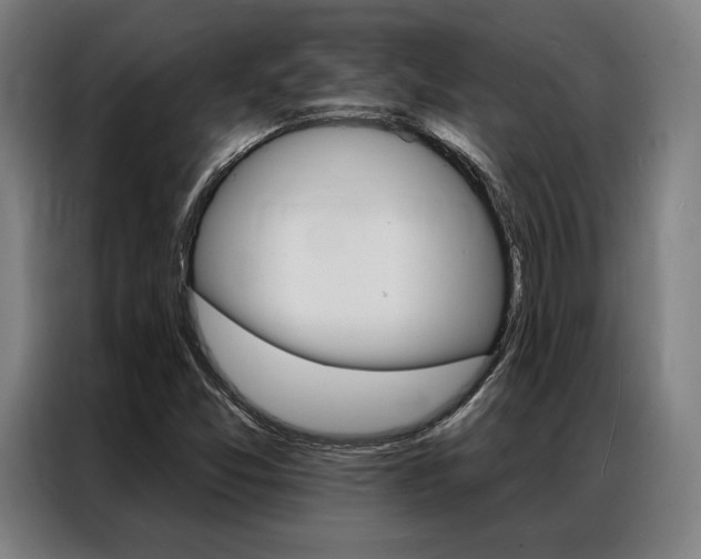 X0000087351357200704200755