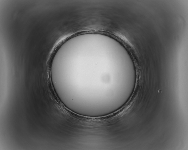 X0000087351358200704200755