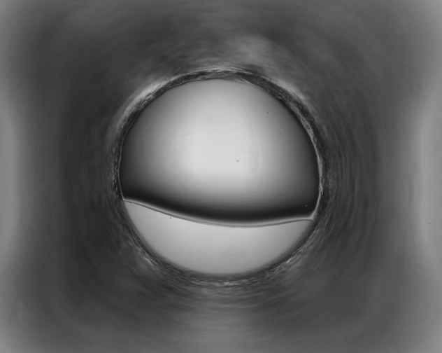 X0000087351359200704200755