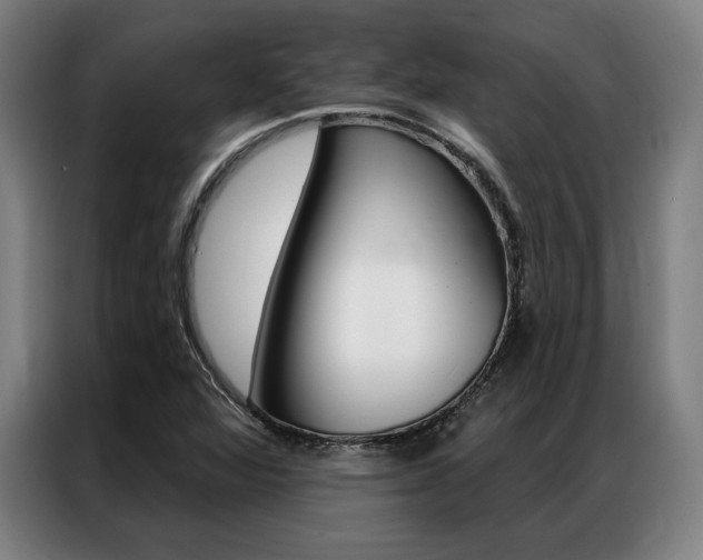X0000087351360200704200755