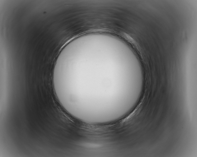 X0000087351361200704200755