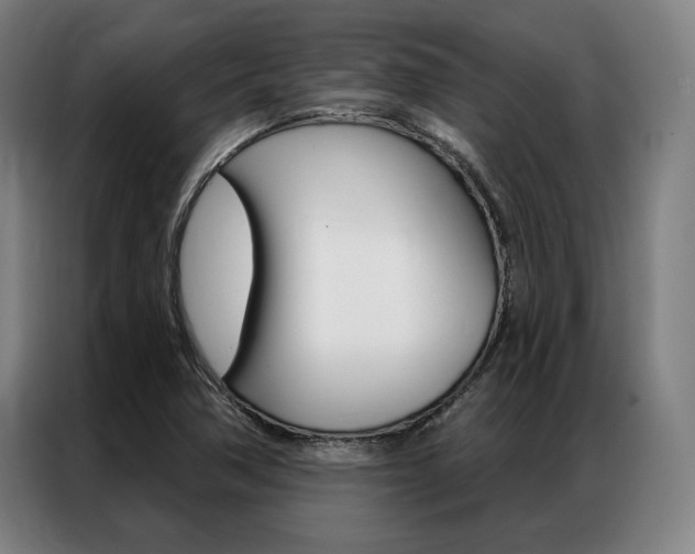 X0000087351362200704200755