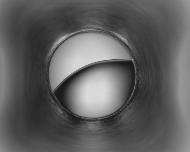 X0000087351363200704200755