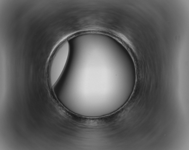 X0000087351364200704200755