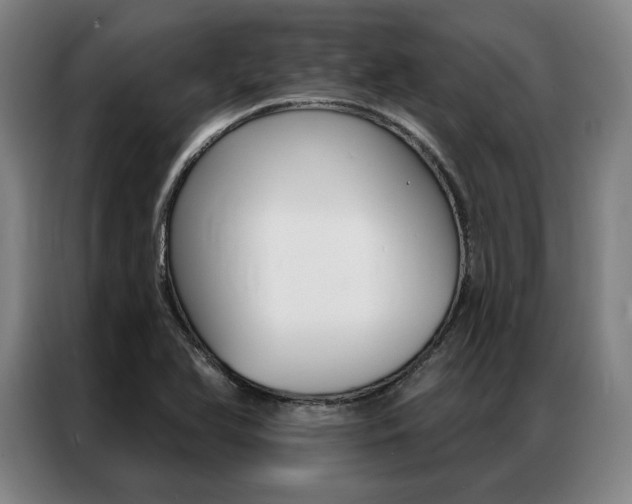X0000087351366200704200755