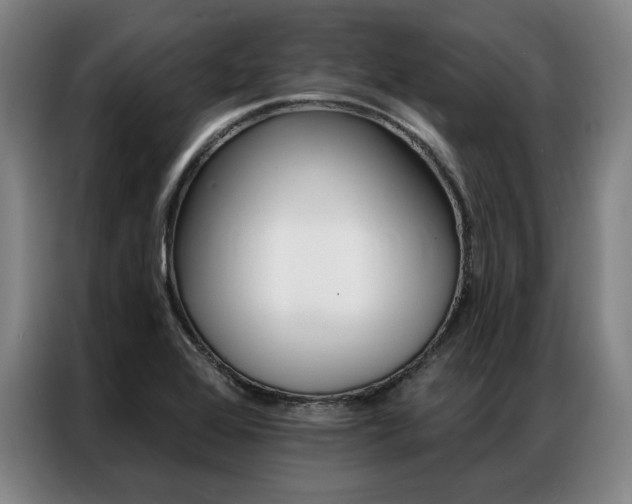 X0000087351368200704200755