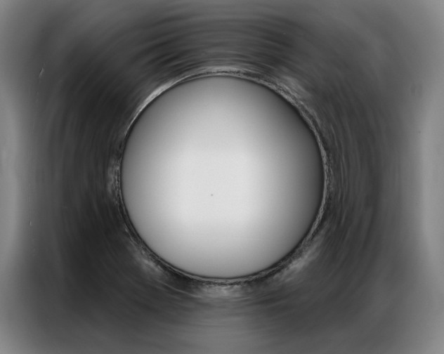 X0000087351369200704200755
