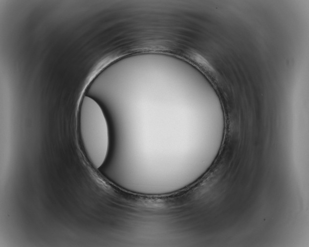 X0000087351370200704200755
