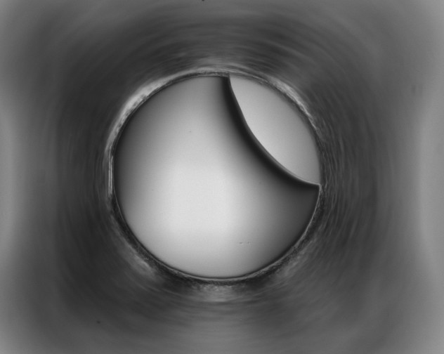 X0000087351371200704200755