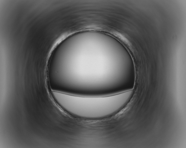 X0000087351373200704200755