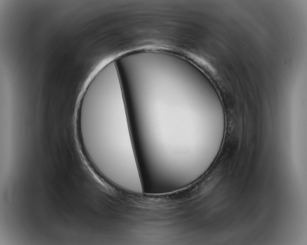 X0000087351375200704200755
