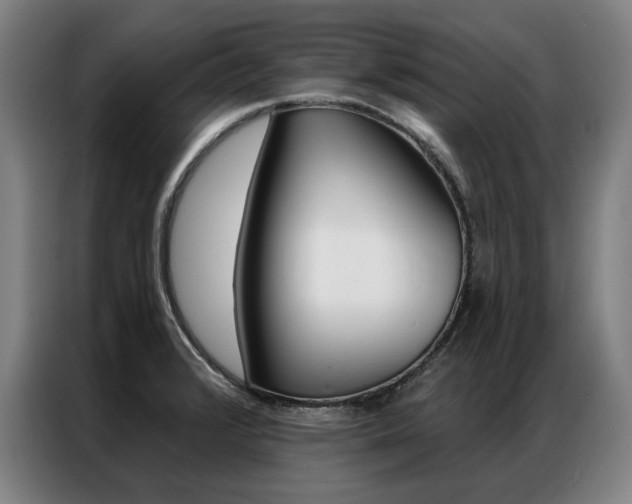 X0000087351376200704200755