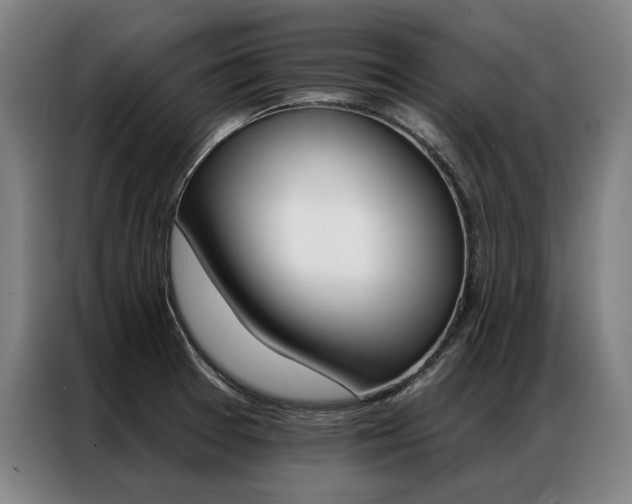 X0000087351377200704200755