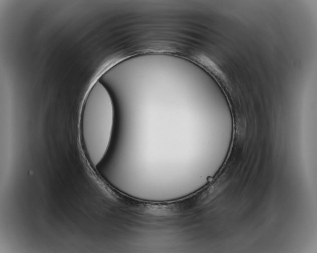 X0000087351378200704200755