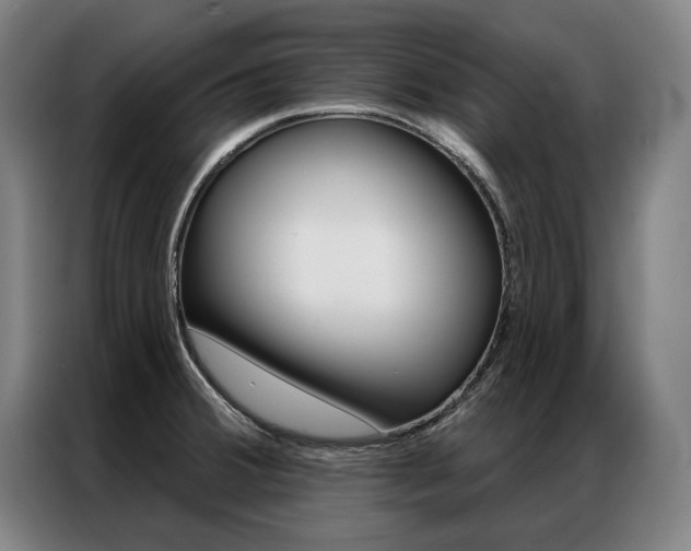 X0000087351380200704200755