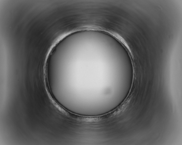 X0000087351381200704200755