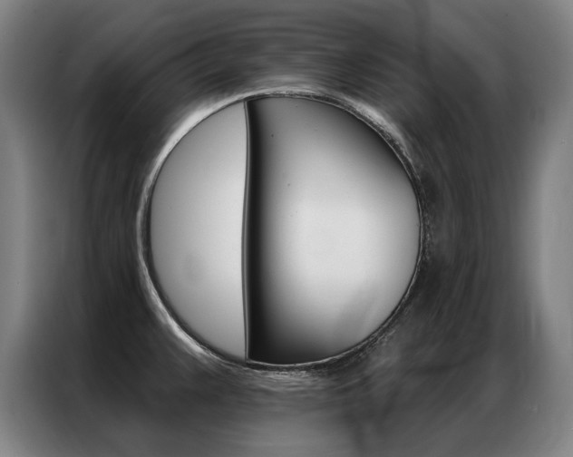 X0000087351383200704200755