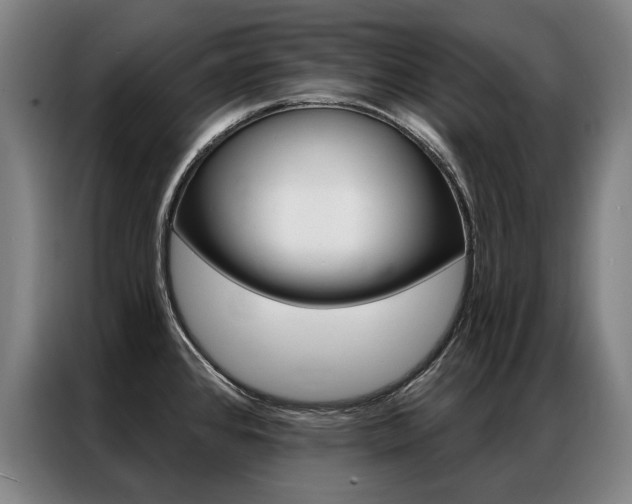 X0000087351384200704200755