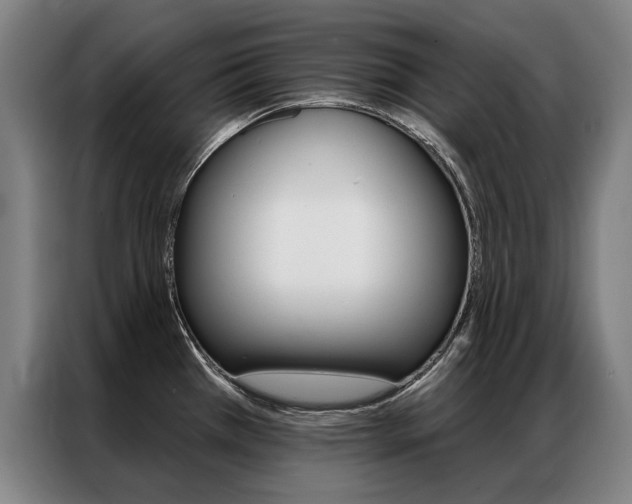 X0000087351385200704200755