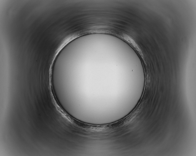 X0000087351386200704200755