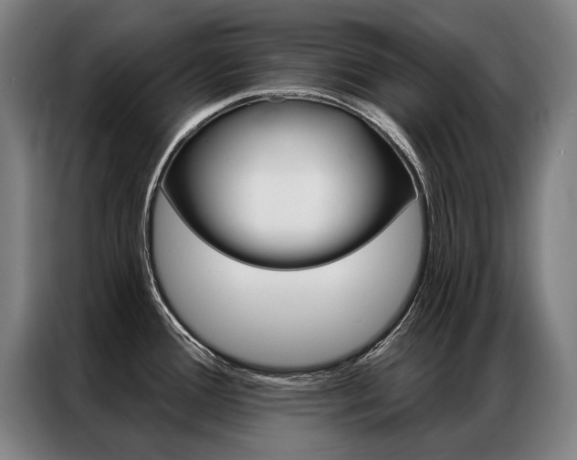 X0000087351388200704200755