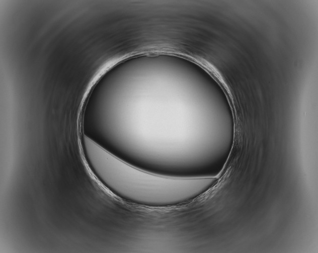X0000087351389200704200755