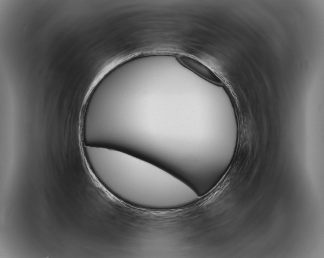 X0000087351390200704200755