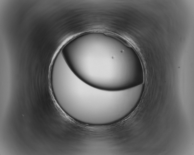 X0000087351392200704200755