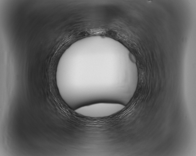 X0000087351393200704200754