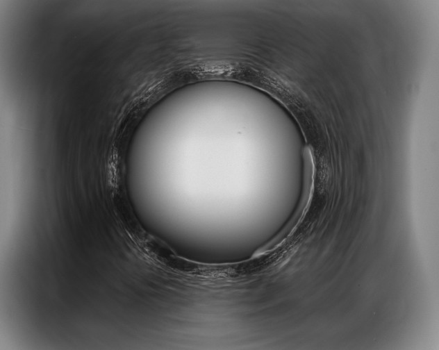 X0000087351394200704200754