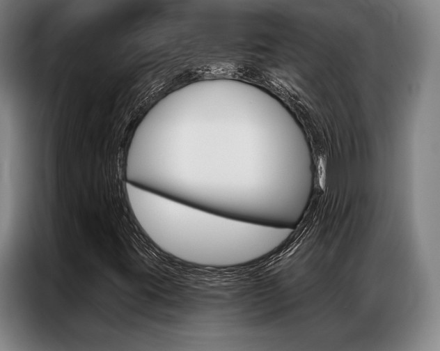 X0000087351395200704200754