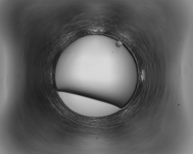 X0000087351396200704200754