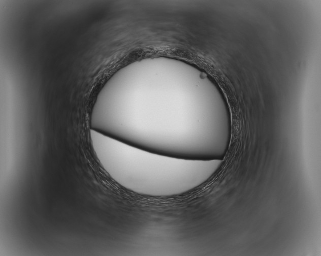 X0000087351397200704200754