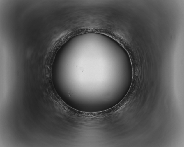 X0000087351398200704200754