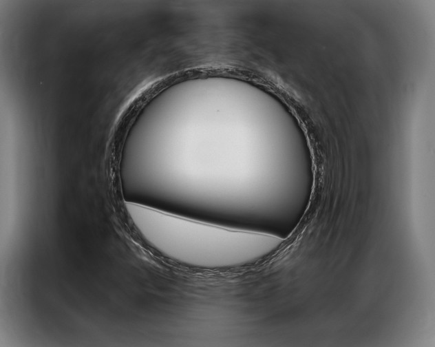 X0000087351400200704200754