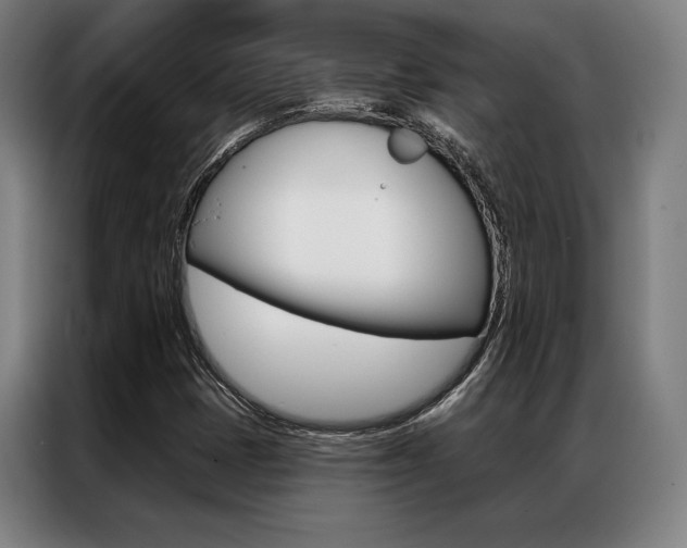 X0000087351401200704200754