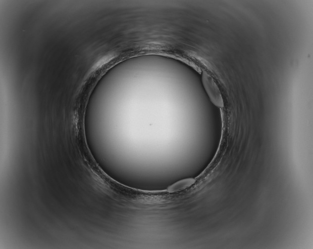 X0000087351402200704200754