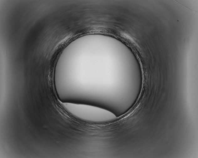 X0000087351403200704200754