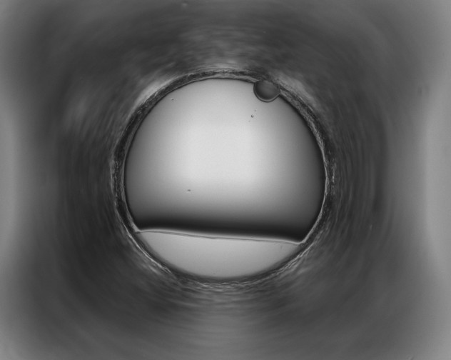 X0000087351404200704200754