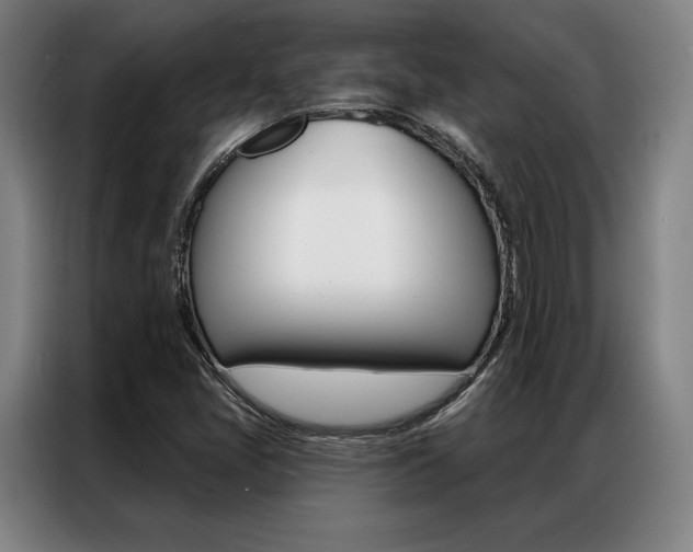 X0000087351405200704200754