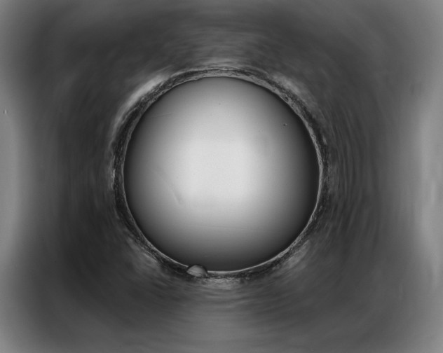 X0000087351406200704200754