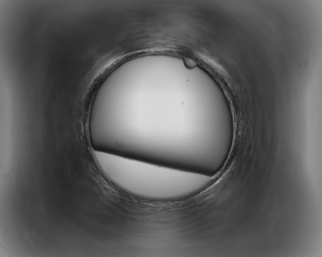 X0000087351407200704200754