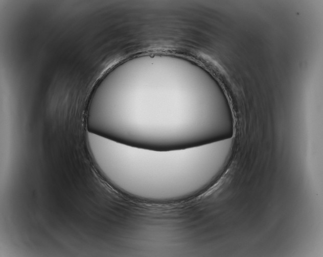 X0000087351409200704200755