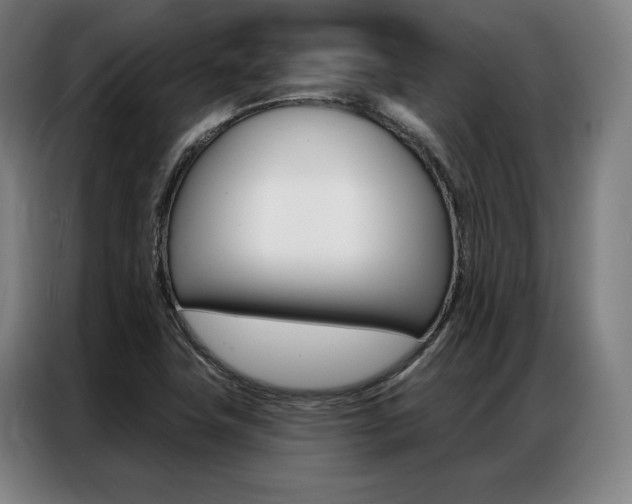X0000087351411200704200755