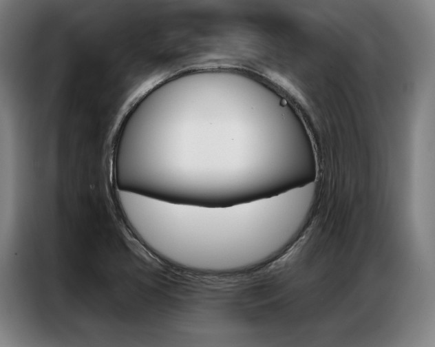 X0000087351413200704200755