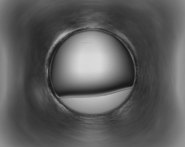 X0000087351416200704200755