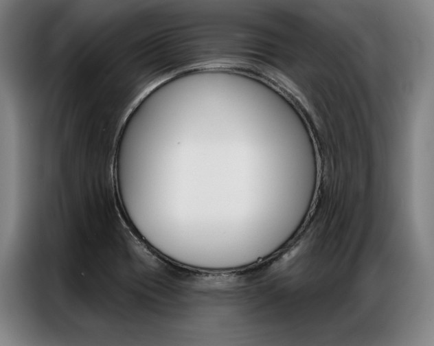 X0000087351417200704200755