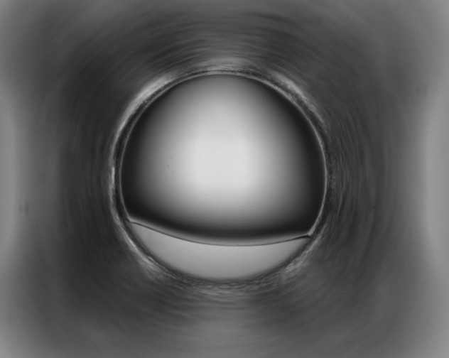 X0000087351418200704200755