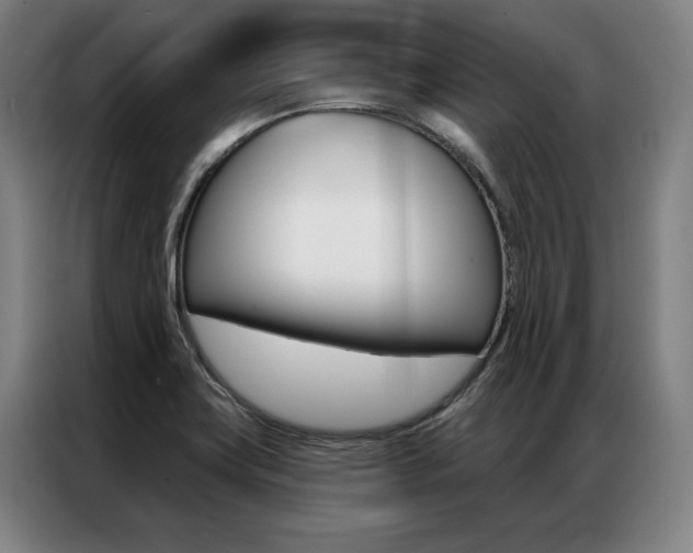 X0000087351419200704200755